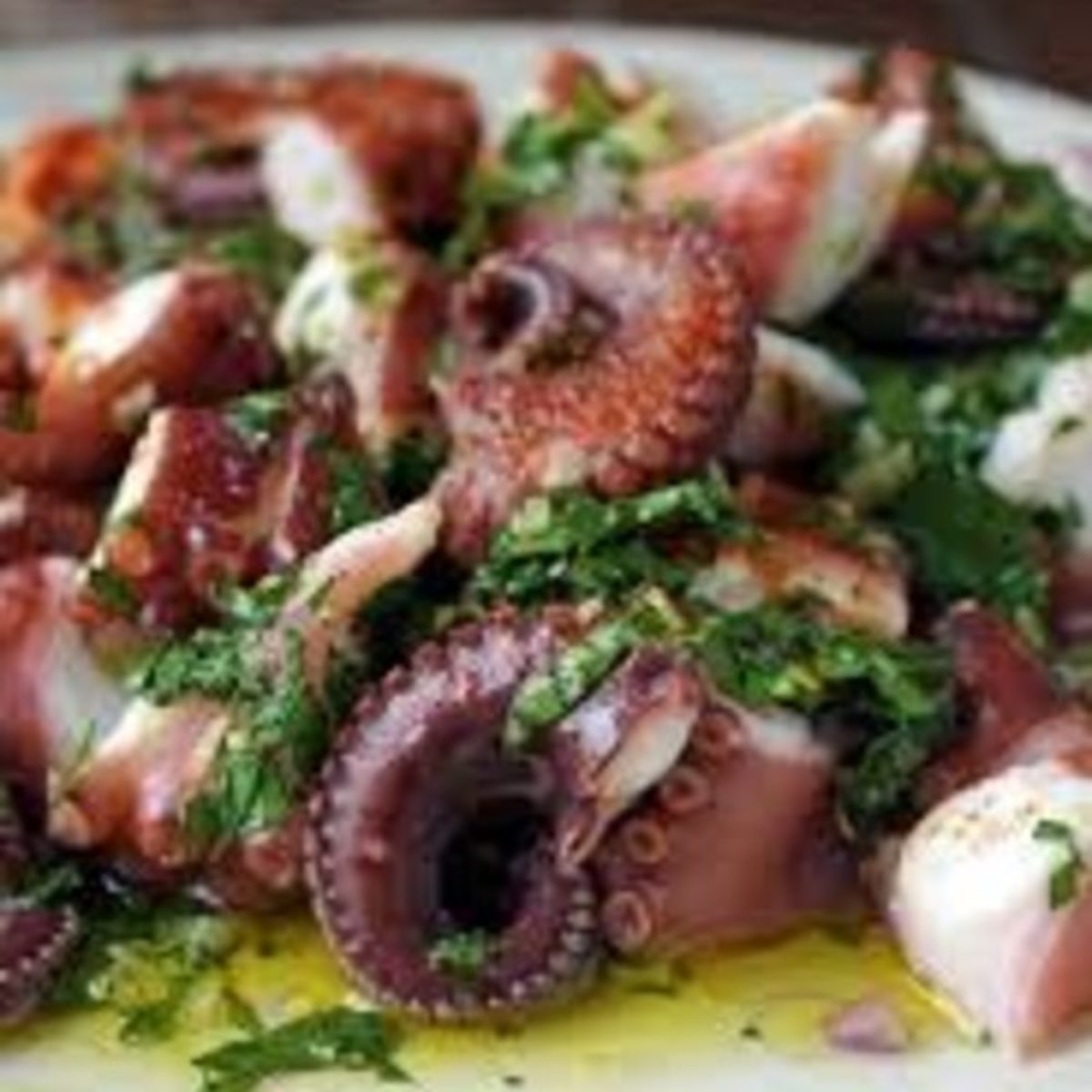Octopus al Chimichurri
